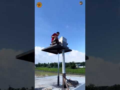 Chế bộ nâng hạ ngồi lái quá dữ