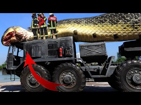 Dangerous Idiots Truck Car Crane Excavator & Heavy Equipment Operating Fails, Total Idiots At Work