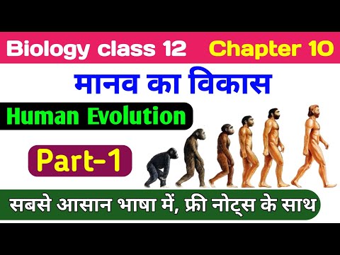 Biology class 12 chapter 10 | manav vikas 12th class geography | human evolution class 12 biology