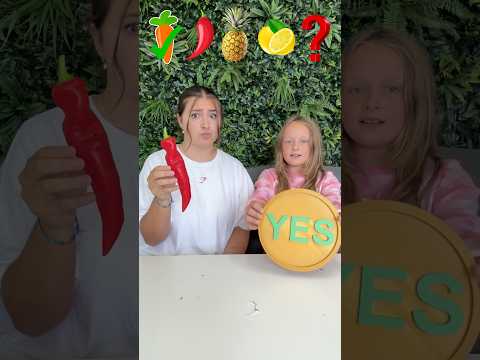YES OR NO CHALLENGE