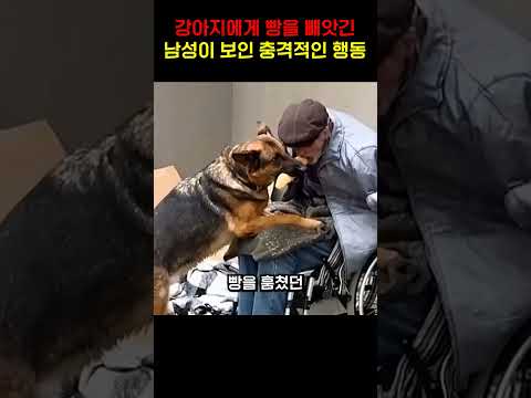 강아지에게 빵을 빼앗긴 남성이 보인 충격적인 행동