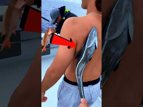 Ta ryba może utknąć ci w Plecach😨