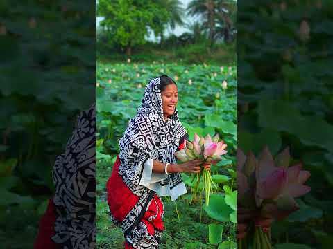 পদ্মফুল তুলে বোনগুলো আমায় দিল।#sorts