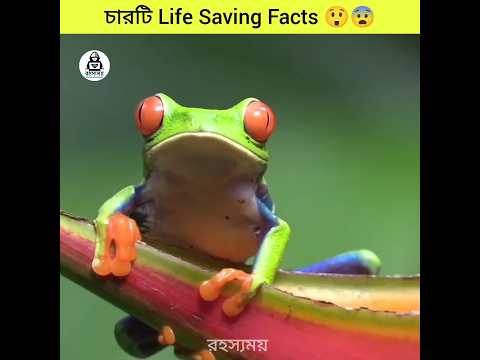 চারটি জীবন বাঁচানো ফ্যাক্ট | Four life-saving facts #mysteriousfacts #amazingfacts