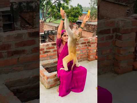 Itni kirpa sanware banaye rakhna #shree_krishna_ringtone #monkeyvideosforkids #monkey
