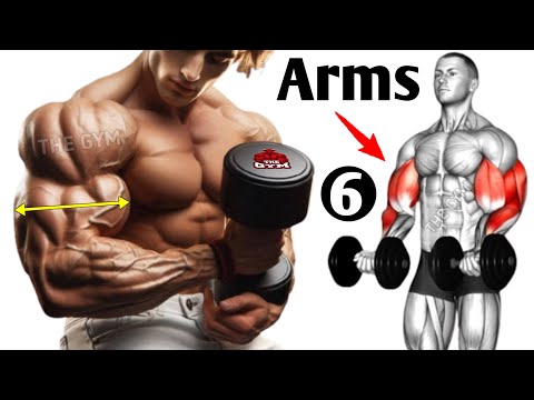 6 Biceps And Triceps Exercises to Get Giant Arms Size