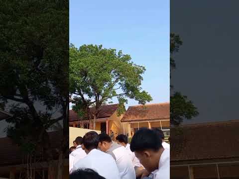 Kegiatan Yasinan Rutin Jumat Pagi 