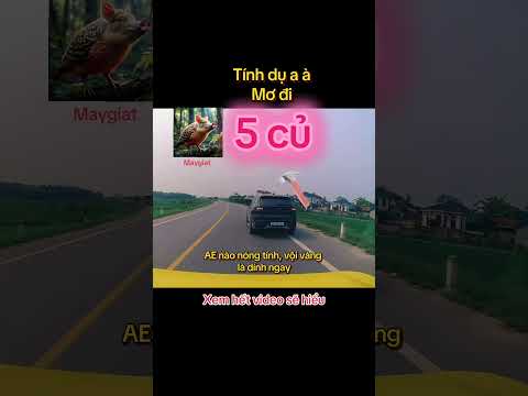 Lái xe cần cái đầu lạnh. Nóng vội là rớt 5 củ ngay #tintuc24h #luatgiaothong #thayvinh #tintuc