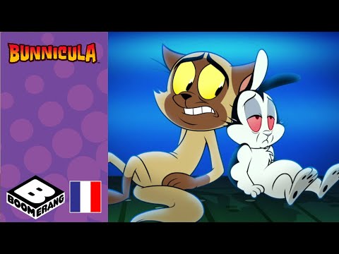 Plus jamais | Bunnicula | @boomerangFR