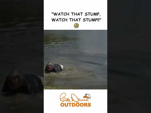 WATCH THE STUMP, WATCH THE STUMP!!