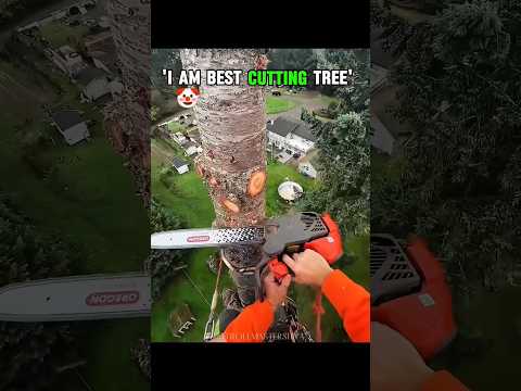 Other cutting tree & this guy 💀
