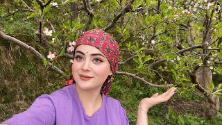 2nd Normal Day in my Life 😍🥳♥️ || Chalo mere sath Apple 🍎 Bagicha me || Apple Farming ||♥️