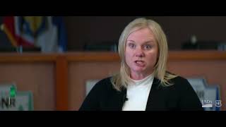 Shared Stewardship The Forest Needs a Hand