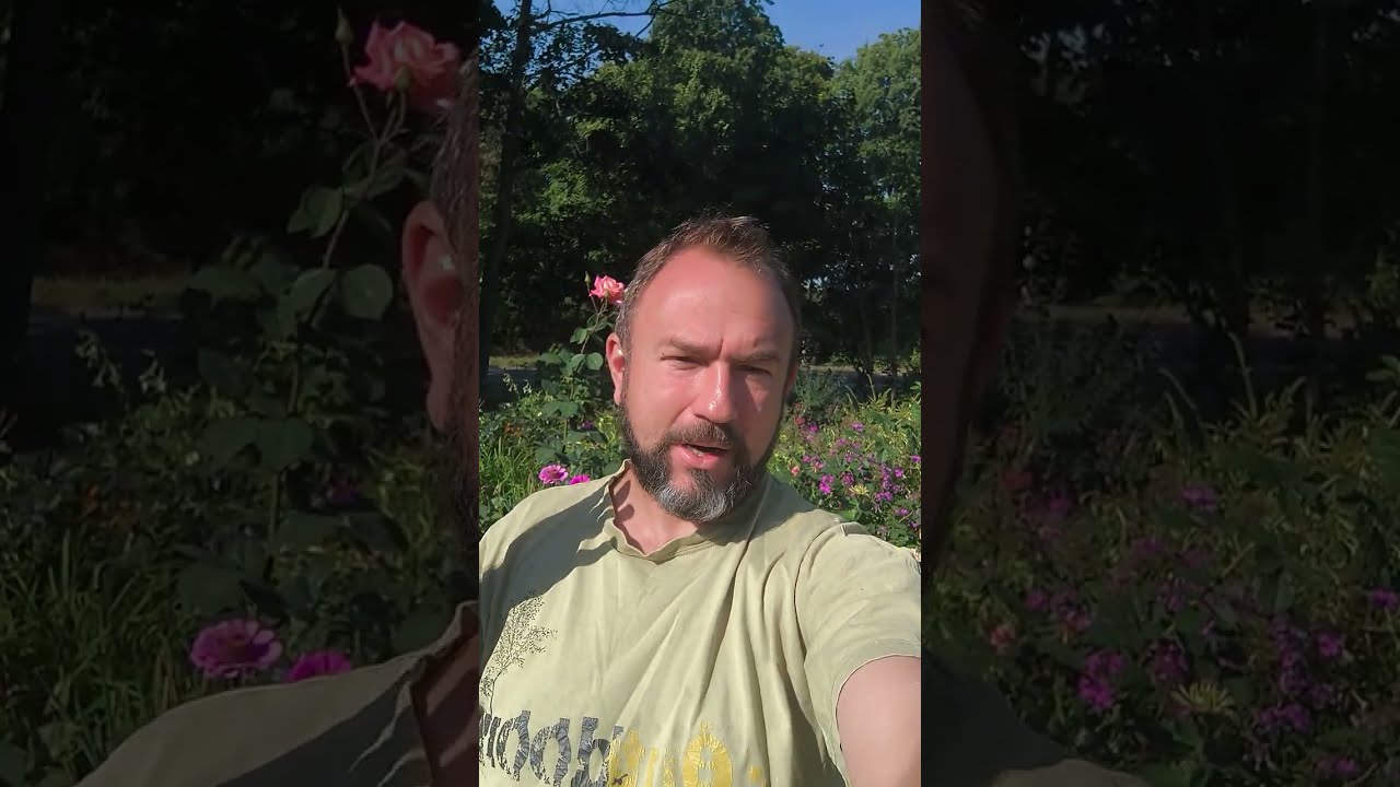 Как надо, так и одеваюсь!