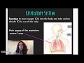 Exploring the Circulatory and Respiratory Systems