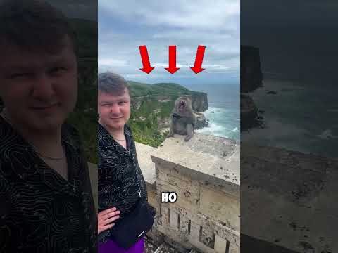 торг с обезьяной🙈🤯