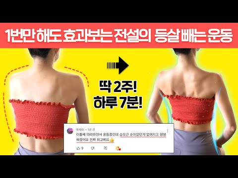 1번만 따라해도 등 라인이 달라지는 '역대급 등살빼는운동' (급속버전🔥)