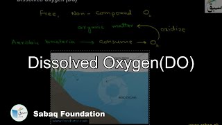 Dissolved Oxygen(DO)