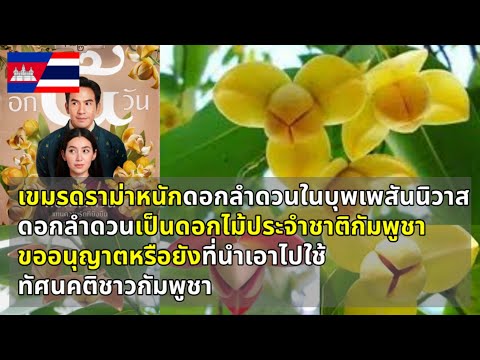 ทัศนคติชาวกัมพูชา-ดราม่าทวงคืนดอกลำดวน-ดอกไม้ประจำชาติของกัม Attitude DEE ทัศนคติชาวกัมพูชา-ดราม่าทวงคืนดอกลำดวน-ดอกไม้ประจำชาติของกัม