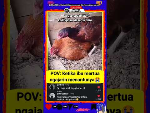 Urus yang bener, dasar Dewi😭 #ngakak