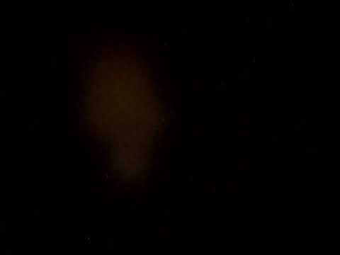Trailer 1