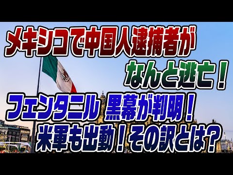 #876メキシコでも中国人が!フェンタニルの黒幕を晒します!