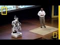 Robotics and Society: A Glimpse into the Future