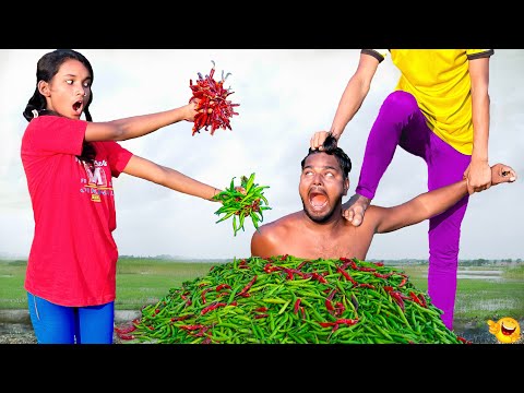 Top New Comedy Video Amazing Funny Video 😂 Try To Not Laugh Episode 209 By Haha Idea