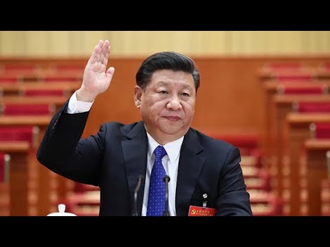 习近平遣十二干将闯关东！大批南方官僚突然入主东北；知情人披露内情：习近平的鲶鱼情节：六度解析20240917