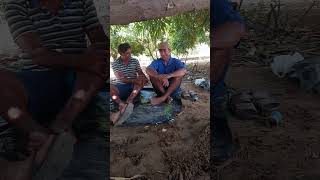 #asabranca #cavaquinho