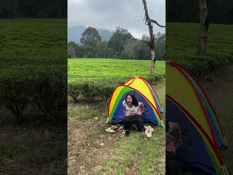 What is she doing ? #shortvideo #funny #comedy #automobile #shorts