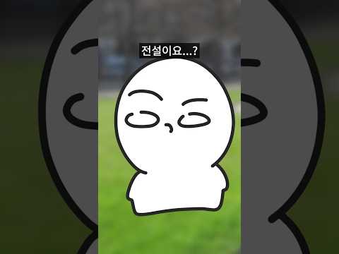 나무의 전설