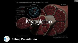 Myoglobin
