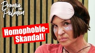 Promis unter Palmen 2026: HOMOPHOBIE-SKANDAL!?