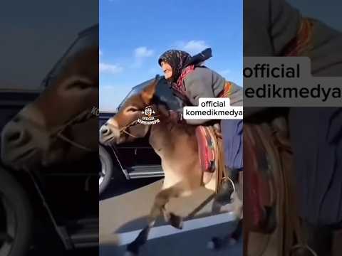 KUŞ ÖTMEYE BAŞLADI