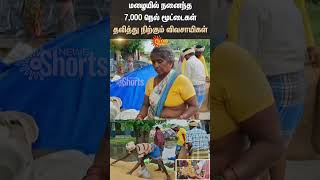 Heavy Rain | Paddy | Farmers Worried | Cuddalore | Vriddhachalam | Shorts | Sun News