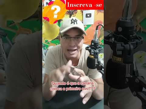 Quando é que a fêmea bota o primeiro ovo #aves #animais #passaros #noticias #tutorial #dicas