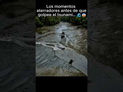 Los Momentos Antes del Tsunami… 😨 #ocean #shorts