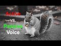 Active vs Passive Voice in Scientific Writing