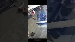 Maging awareness sa pag gamit ng gadget Ang mga bata para Hindi mangyari sainyo ito