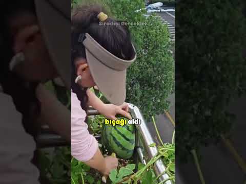 Balkon Demirleri Arasında Sıkışan Karpuz! 🍉