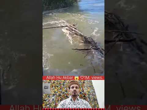 Allah Hu Akbar 🌙🕋🇵🇸👍👆 #muhammadﷺ #duet #allah #youtube #trending #islmicpost #shortsfeed 🌙🕋🥰❤️🇵🇸🥰