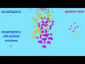 Evolution and Antibiotic Resistance Concepts