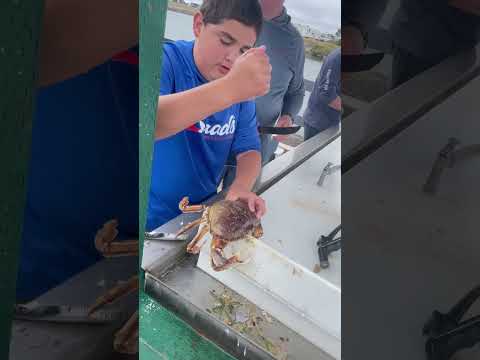 How to crack a crab 🦀 #fishing #god #shortvideo #shorts #shortsvideo #crab #fyp #shortvideo #water