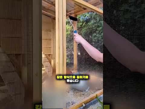 여성이 아크릴 페인트로 닭장 철망을 새롭게 만든 방법 🖌️🐔