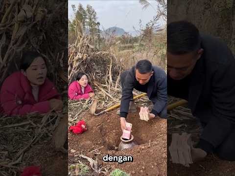 pria ini sembunyikan uangnya di dalam tanah#shorts #viralshorts
