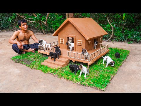 I Built a Tiny House for Puppiesโฆ They Went Crazy ๐ถ๐ก