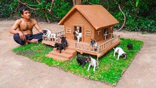 I Built a Tiny House for Puppies… They Went Crazy 🐶🏡
