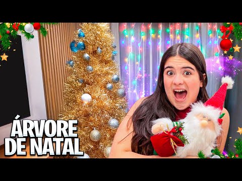 MONTANDO A NOSSA ÁRVORE DE NATAL 2024 * NOVIDADES!