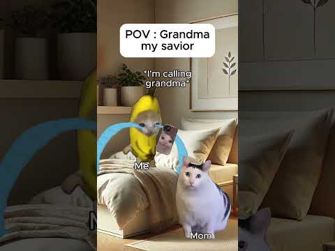 Cat memes 🐱 Grandma my savior #catmemes #relatable #cat #catshorts #shorts #grandma